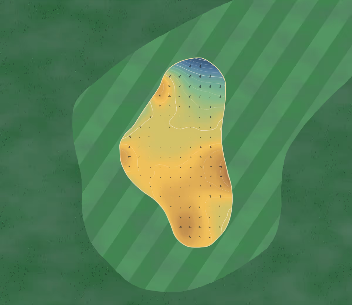 Green contour map of Hankley Common in Farnham, England — 141 elevation contours at a 8-centimeter interval with fall-line arrows, traced from 1-meter lidar