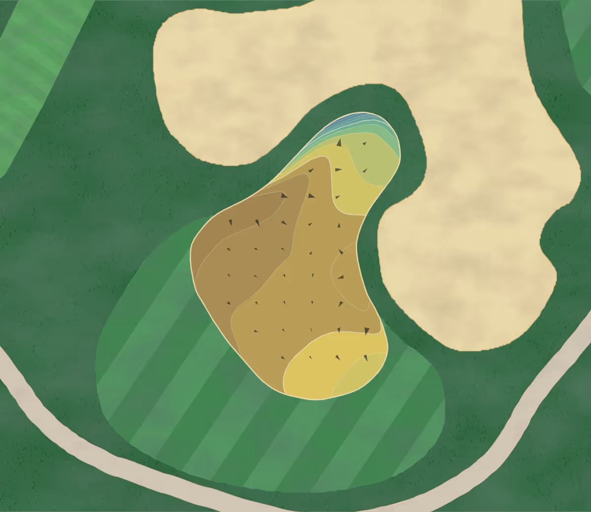 Green contour map of Harbour Town in Hilton Head Island, South Carolina — 216 elevation contours at a 3-inch interval with fall-line arrows, traced from 1-meter lidar