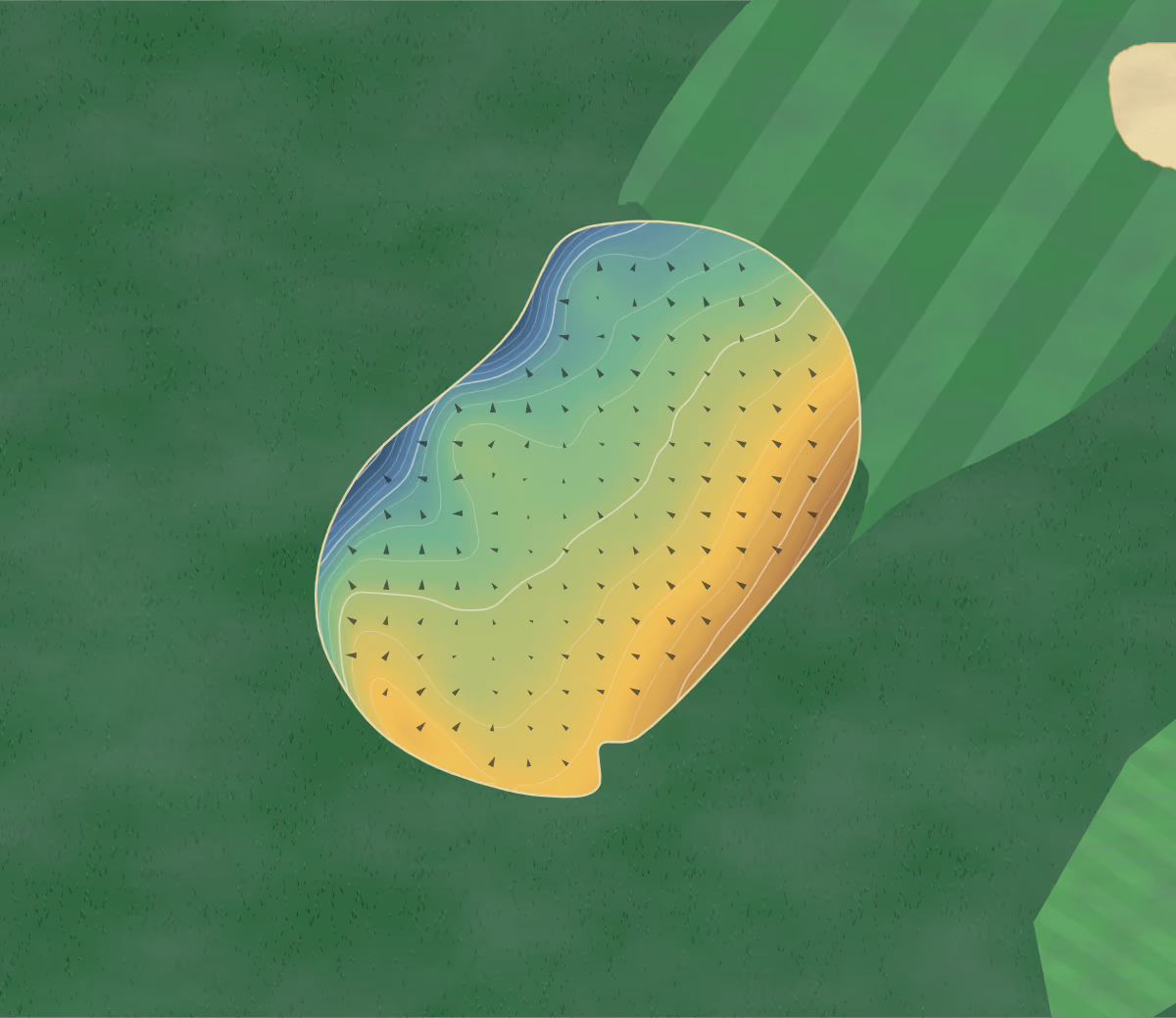 Green contour map of Harburn in West Calder, Scotland: 141 elevation contours at a 8-centimeter interval with fall-line arrows, traced from 1-meter lidar