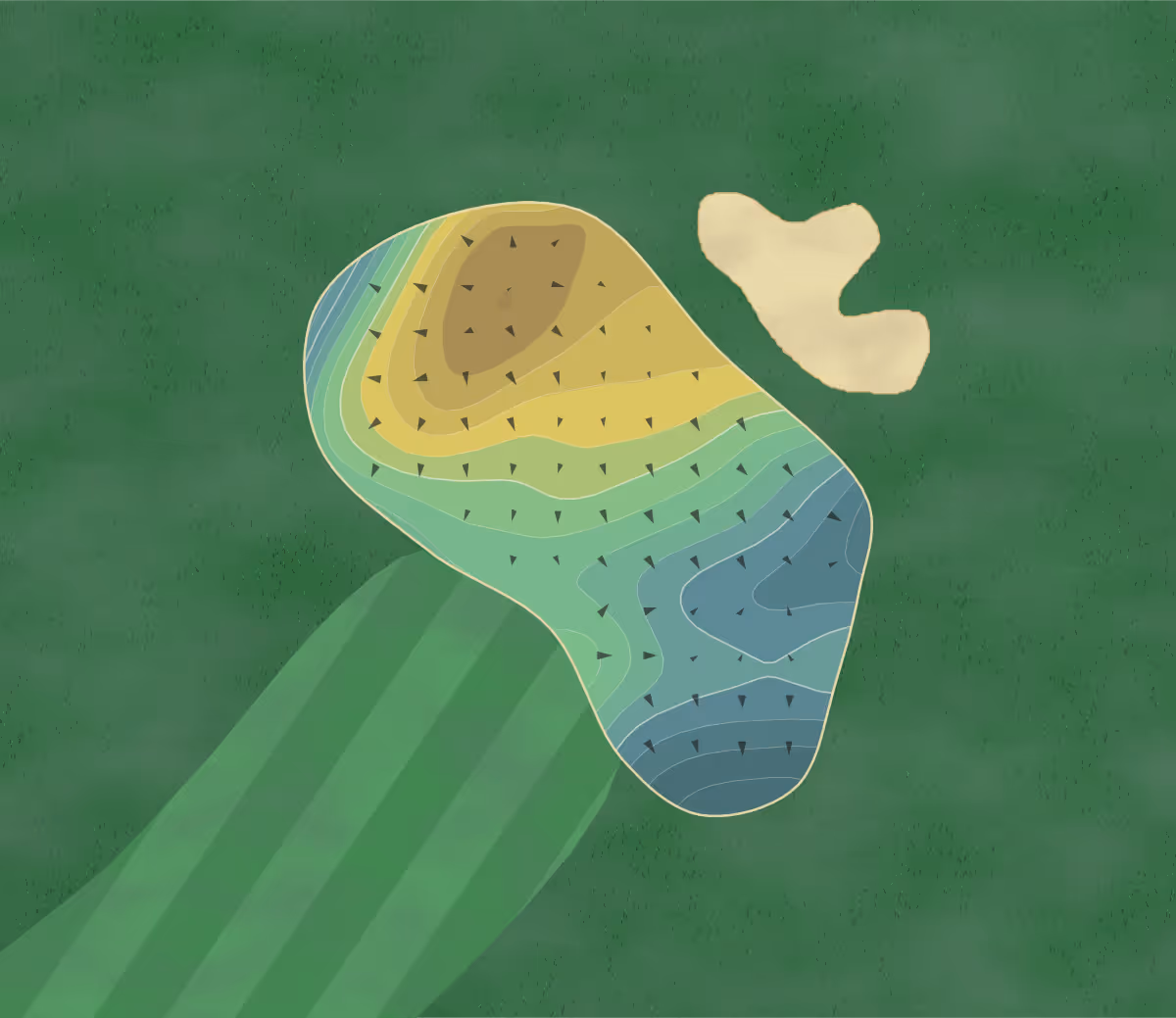 Green contour map of Harry L Jones in Charlotte, North Carolina — 182 elevation contours at a 3-inch interval with fall-line arrows, traced from 1-meter lidar