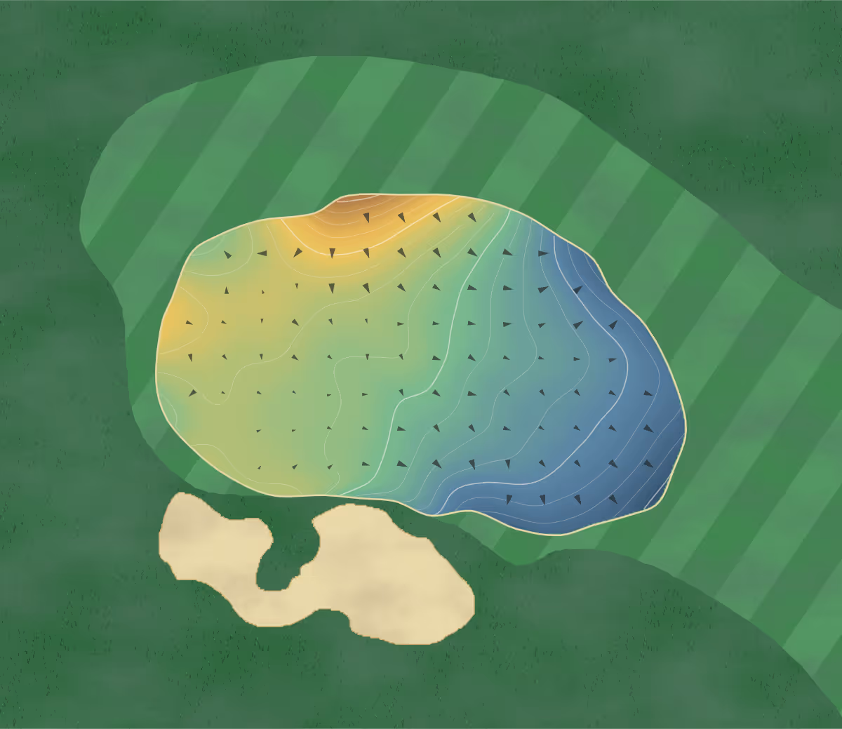 Green contour map of Hasentree Club in Wake Forest, North Carolina: 82 elevation contours at a 3-inch interval with fall-line arrows, traced from 1-meter lidar