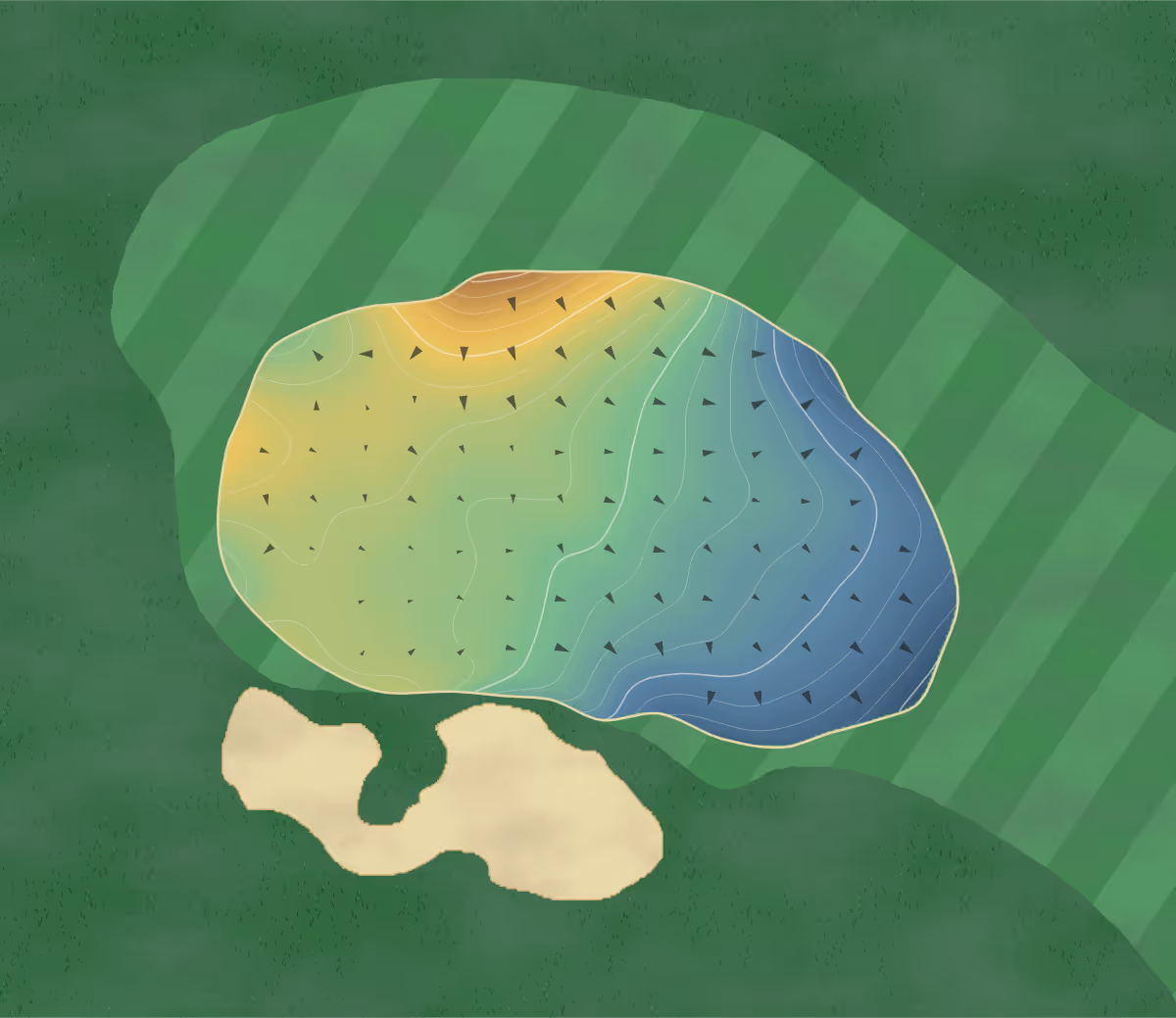 Green contour map of Hasentree in Wake Forest, North Carolina — 82 elevation contours at a 3-inch interval with fall-line arrows, traced from 1-meter lidar