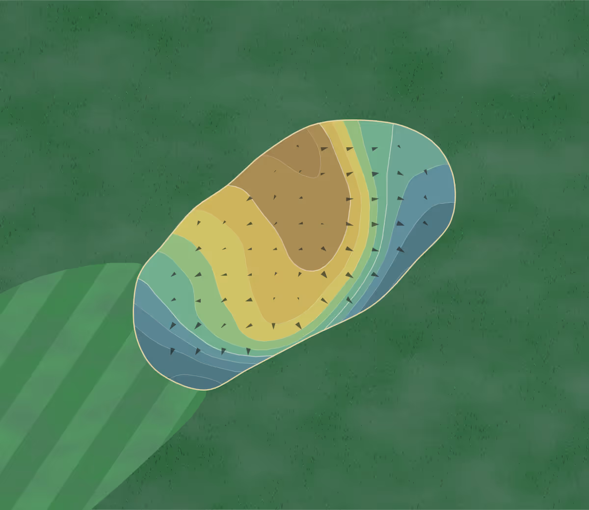 Green contour map of Hawk Meadows in Howell, Michigan — 118 elevation contours at a 3-inch interval with fall-line arrows, traced from 1-meter lidar