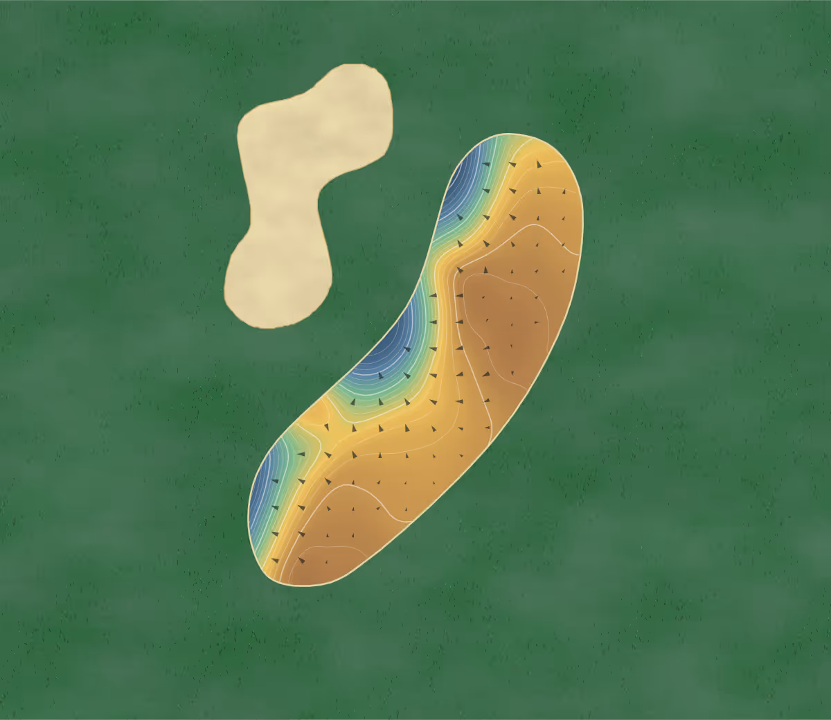 Green contour map of Hawk Ridge in Gravenhurst, Canada: 622 elevation contours at a 8-centimeter interval with fall-line arrows, traced from 1-meter lidar