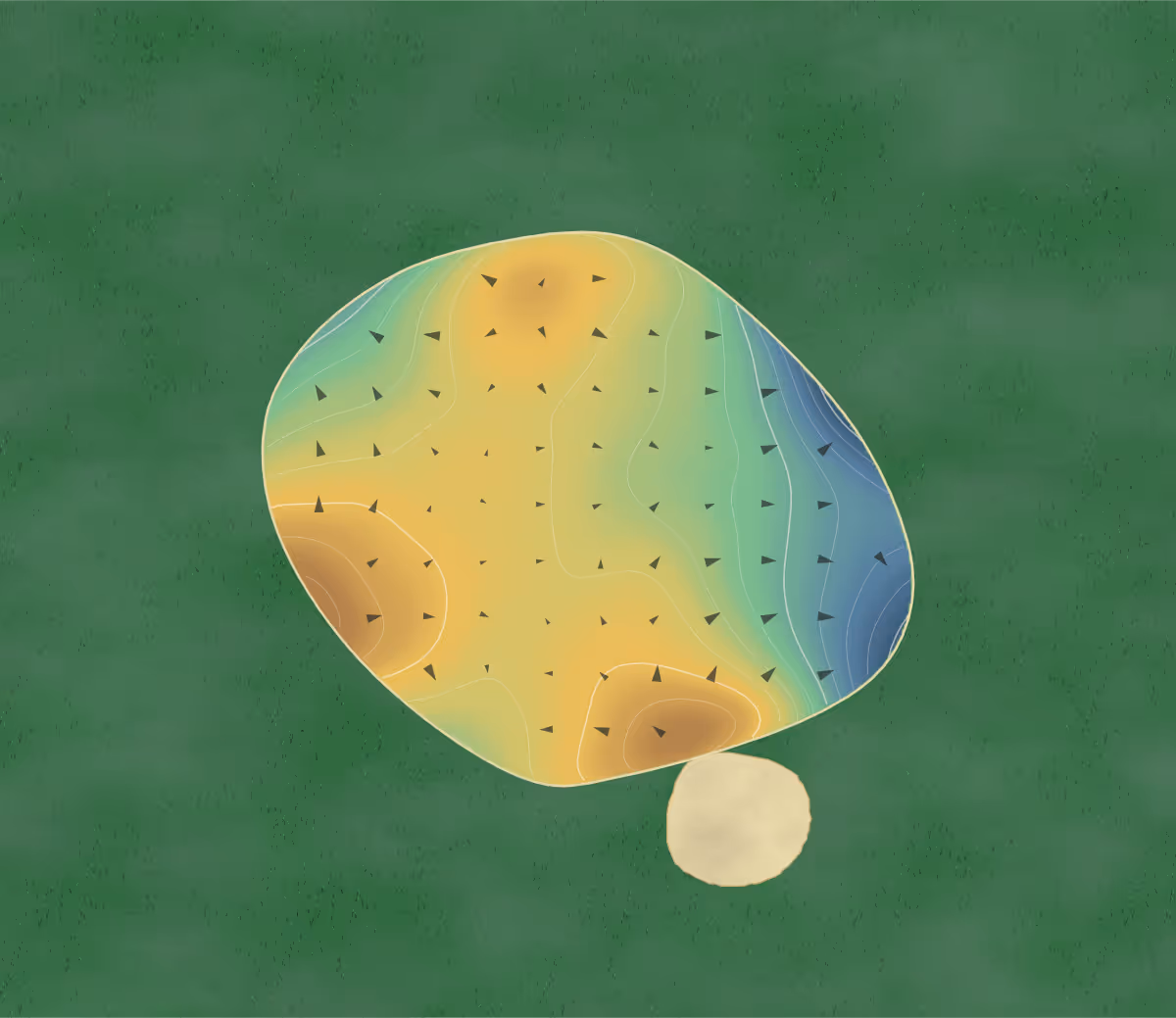 Green contour map of Hawk's Point in Vidalia, Georgia: 161 elevation contours at a 3-inch interval with fall-line arrows, traced from 1-meter lidar