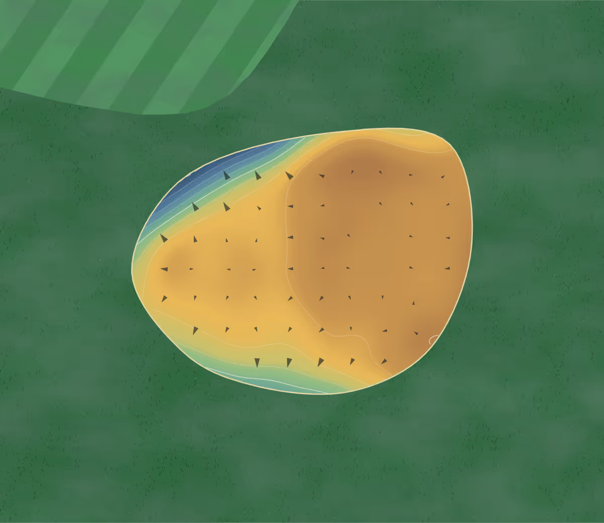 Green contour map of Hawks Nest in Hawks Nest, Australia — 139 elevation contours at a 8-centimeter interval with fall-line arrows, traced from 1-meter lidar