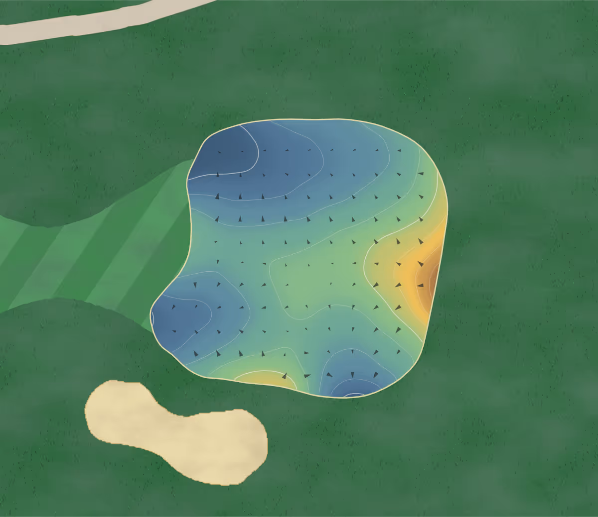 Green contour map of Hazelmere in Surrey, Canada — 158 elevation contours at a 8-centimeter interval with fall-line arrows, traced from 1-meter lidar