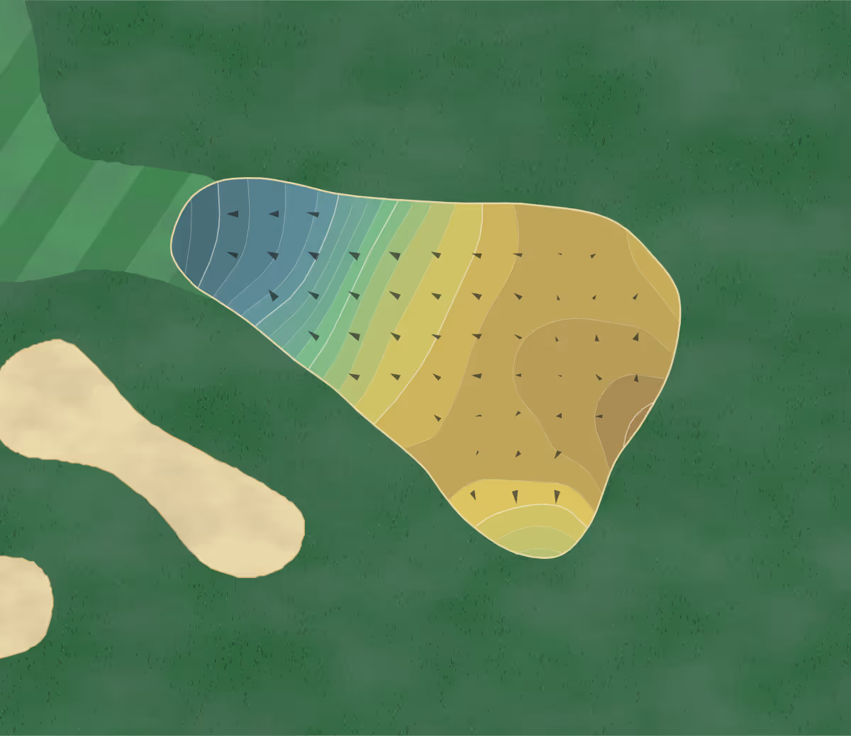Green contour map of Healy Point in Macon, Georgia — 241 elevation contours at a 3-inch interval with fall-line arrows, traced from 1-meter lidar