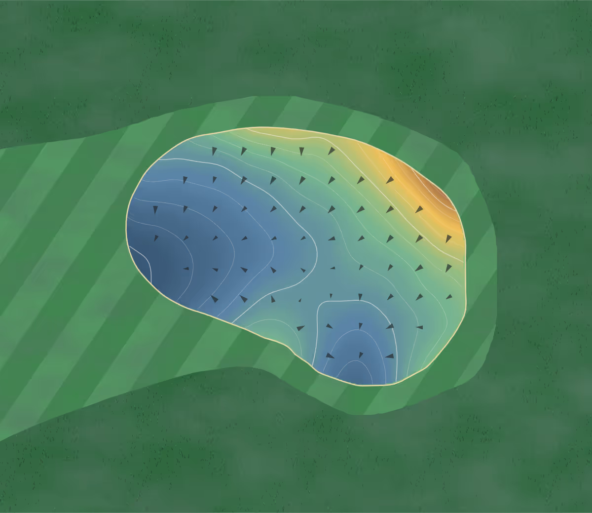 Green contour map of Hedingham in Raleigh, North Carolina: 84 elevation contours at a 3-inch interval with fall-line arrows, traced from 1-meter lidar