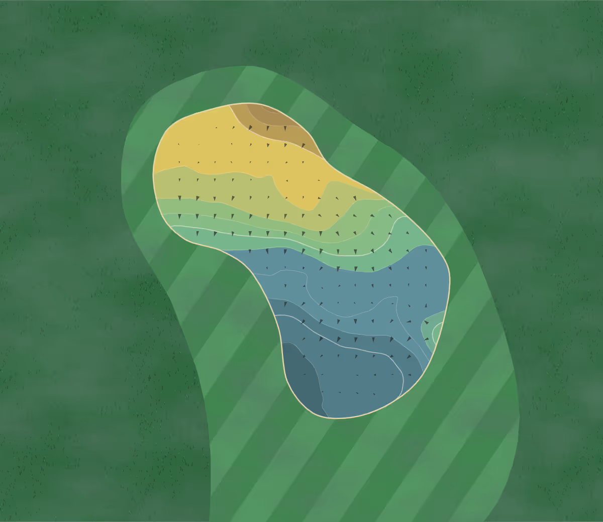Green contour map of Heemskerkse Golfclub in PR Heemskerk, Netherlands — 172 elevation contours at a 8-centimeter interval with fall-line arrows, traced from 1-meter lidar