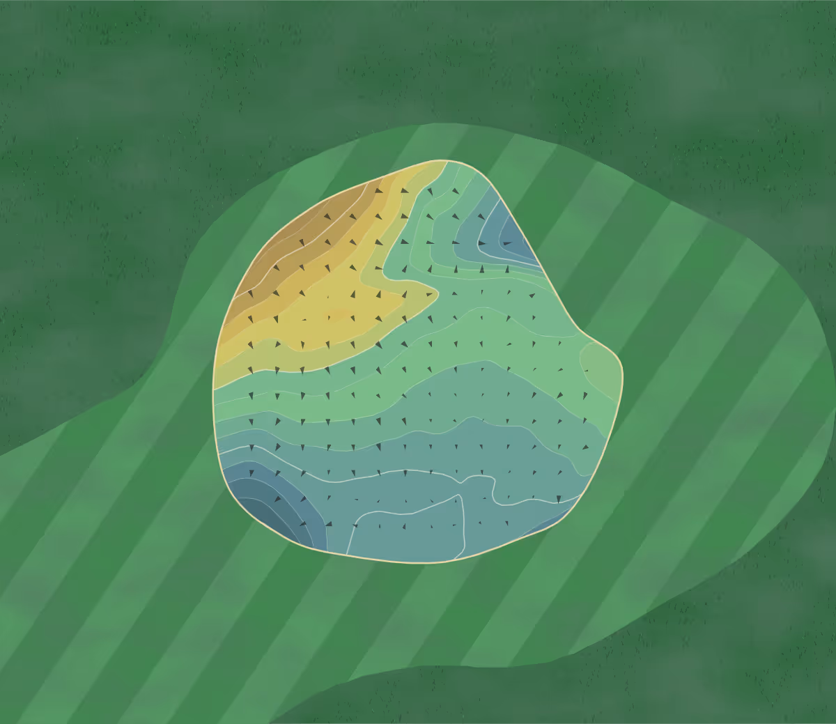 Green contour map of Helensburgh in Helensburgh, Scotland — 261 elevation contours at a 8-centimeter interval with fall-line arrows, traced from 1-meter lidar
