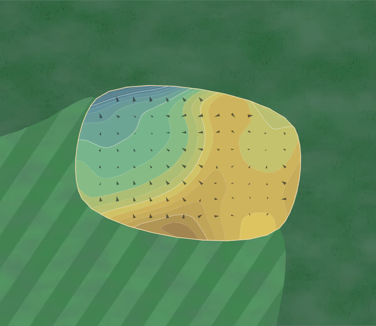 Green contour map of Heritage Shores in Bridgeville, Delaware — 173 elevation contours at a 3-inch interval with fall-line arrows, traced from 1-meter lidar