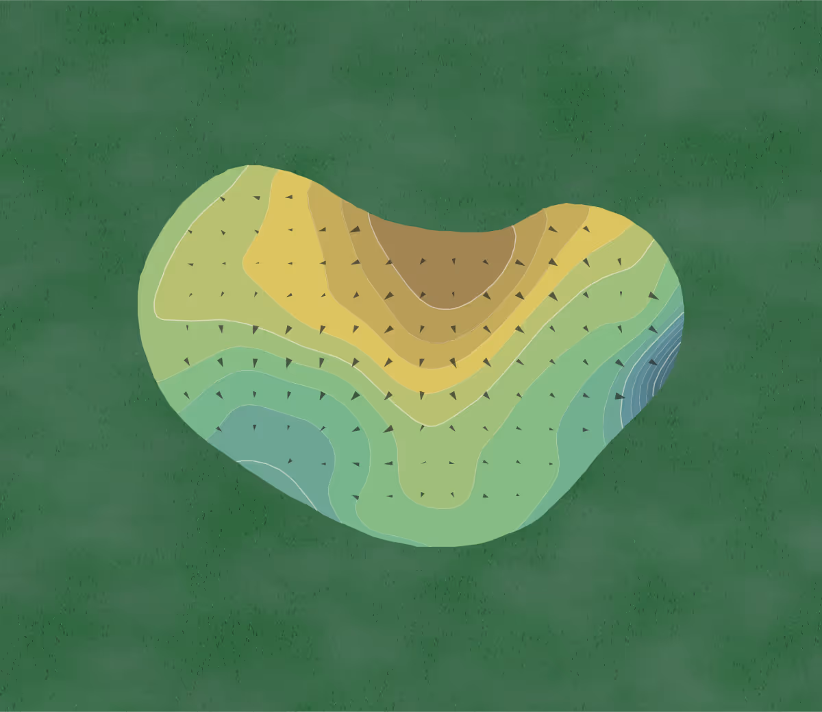 Green contour map of Heritage Springs in New Port Richey, Florida — 24 elevation contours at a 3-inch interval with fall-line arrows, traced from 1-meter lidar