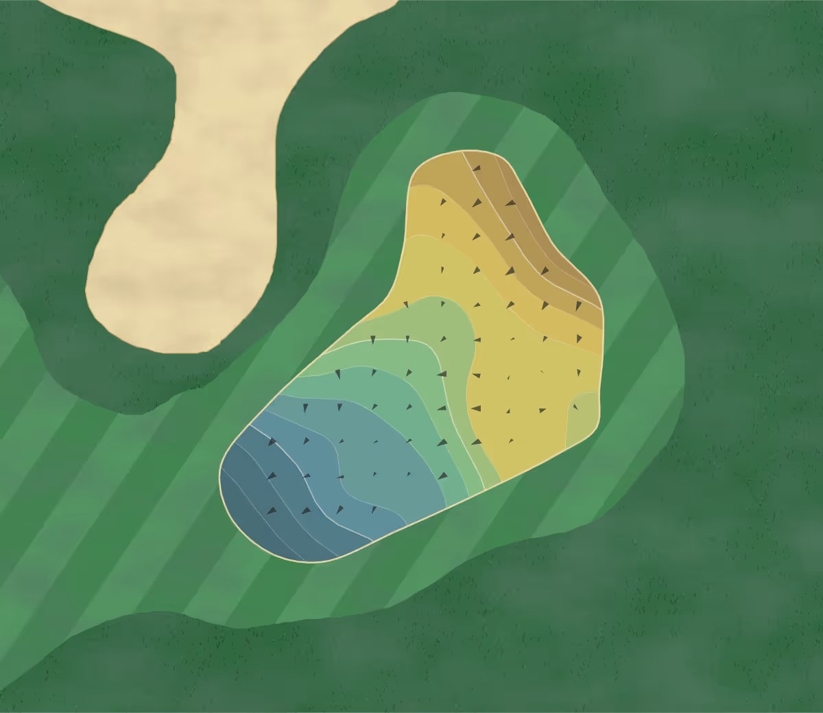 Green contour map of Heron Ridge in Virginia Beach, Virginia — 180 elevation contours at a 3-inch interval with fall-line arrows, traced from 1-meter lidar