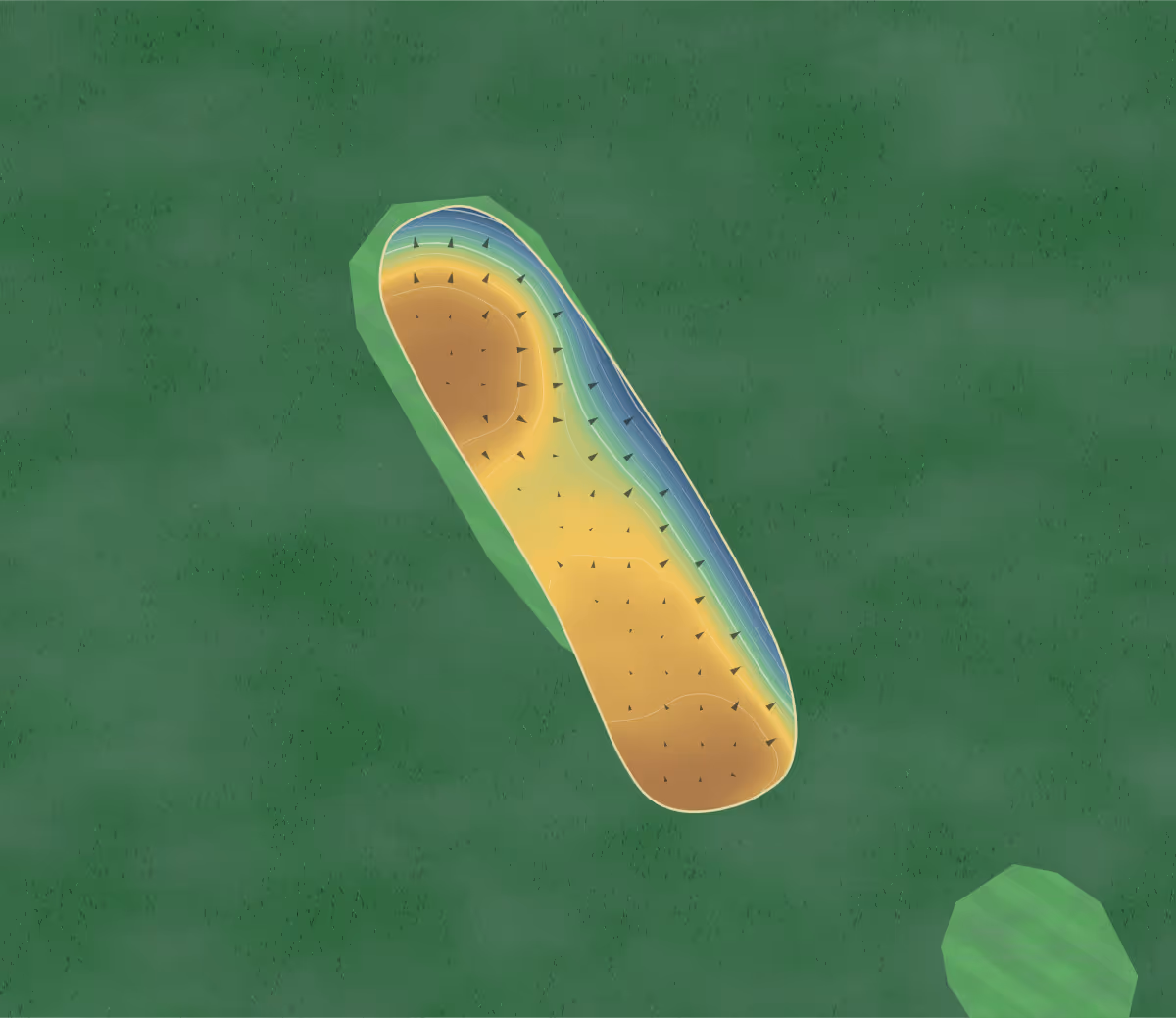 Green contour map of Heydon Grange in Royston, England: 101 elevation contours at a 8-centimeter interval with fall-line arrows, traced from 1-meter lidar
