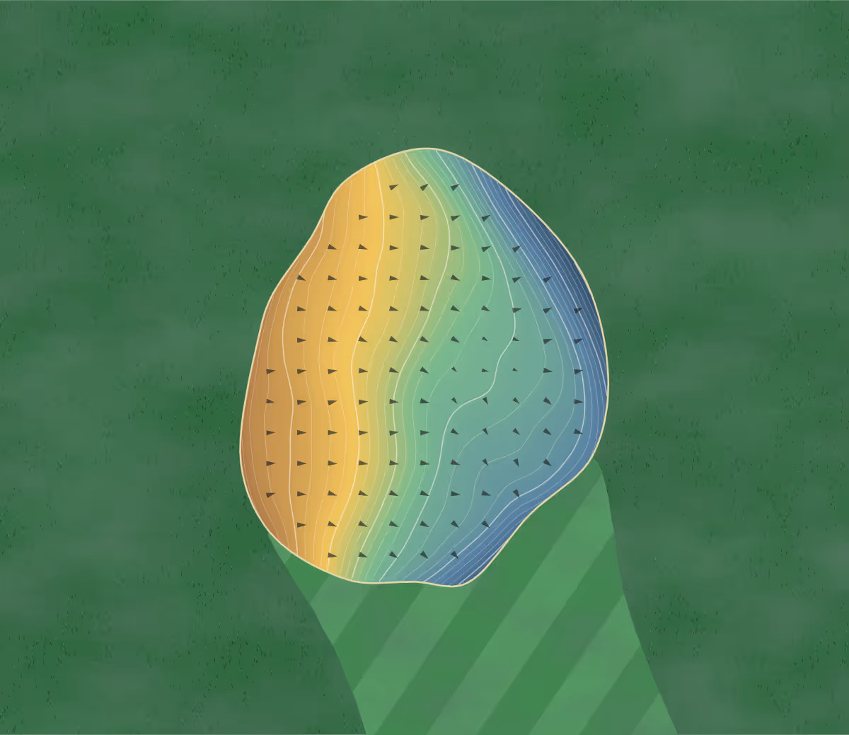 Green contour map of Hickory Hill in Wixom, Michigan: 94 elevation contours at a 3-inch interval with fall-line arrows, traced from 1-meter lidar