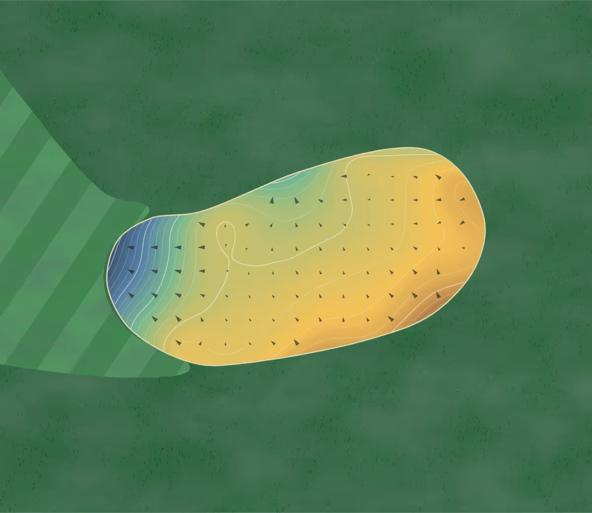 Green contour map of Hickory Hills in Springfield, Missouri: 152 elevation contours at a 3-inch interval with fall-line arrows, traced from 1-meter lidar