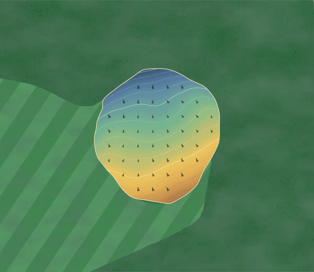 Green contour map of Hickory Ridge in Lynden, Canada — 120 elevation contours at a 8-centimeter interval with fall-line arrows, traced from 1-meter lidar