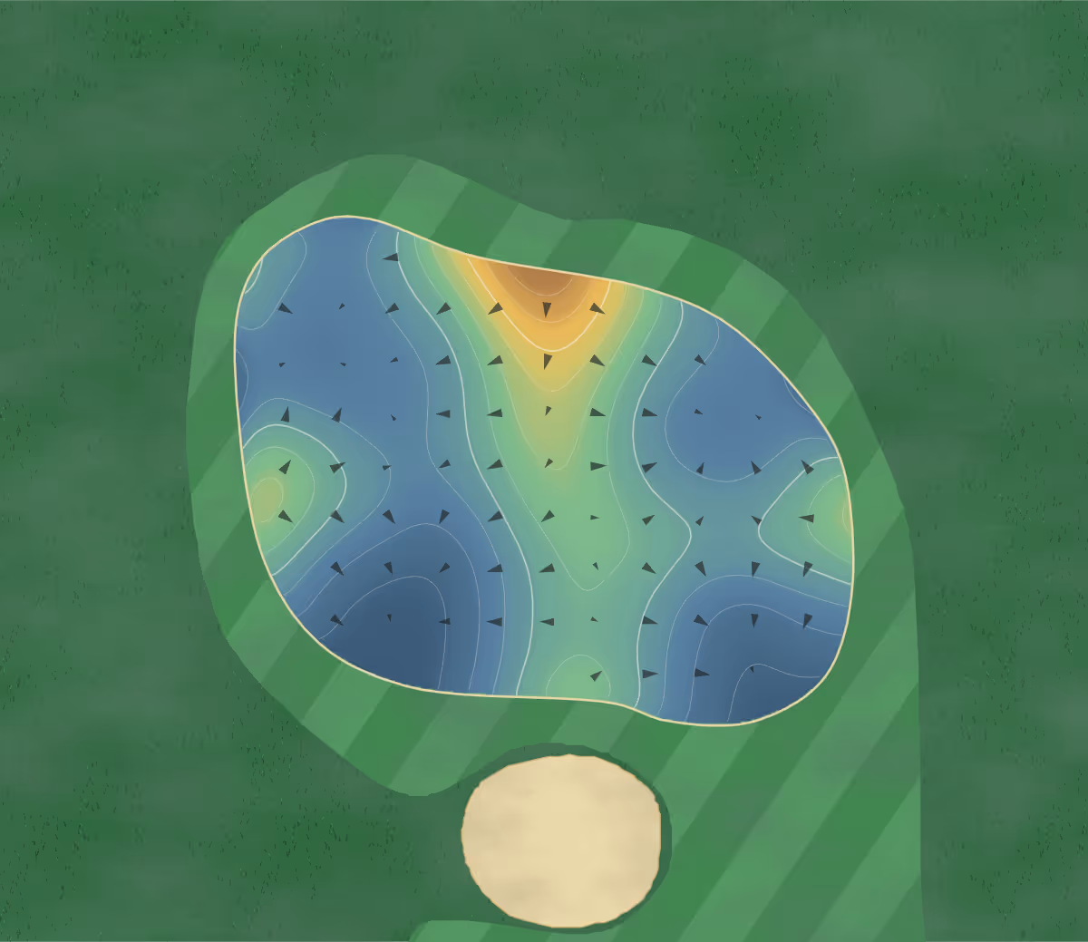 Green contour map of Hidden Meadows in Old Town, Alabama — 205 elevation contours at a 3-inch interval with fall-line arrows, traced from 1-meter lidar