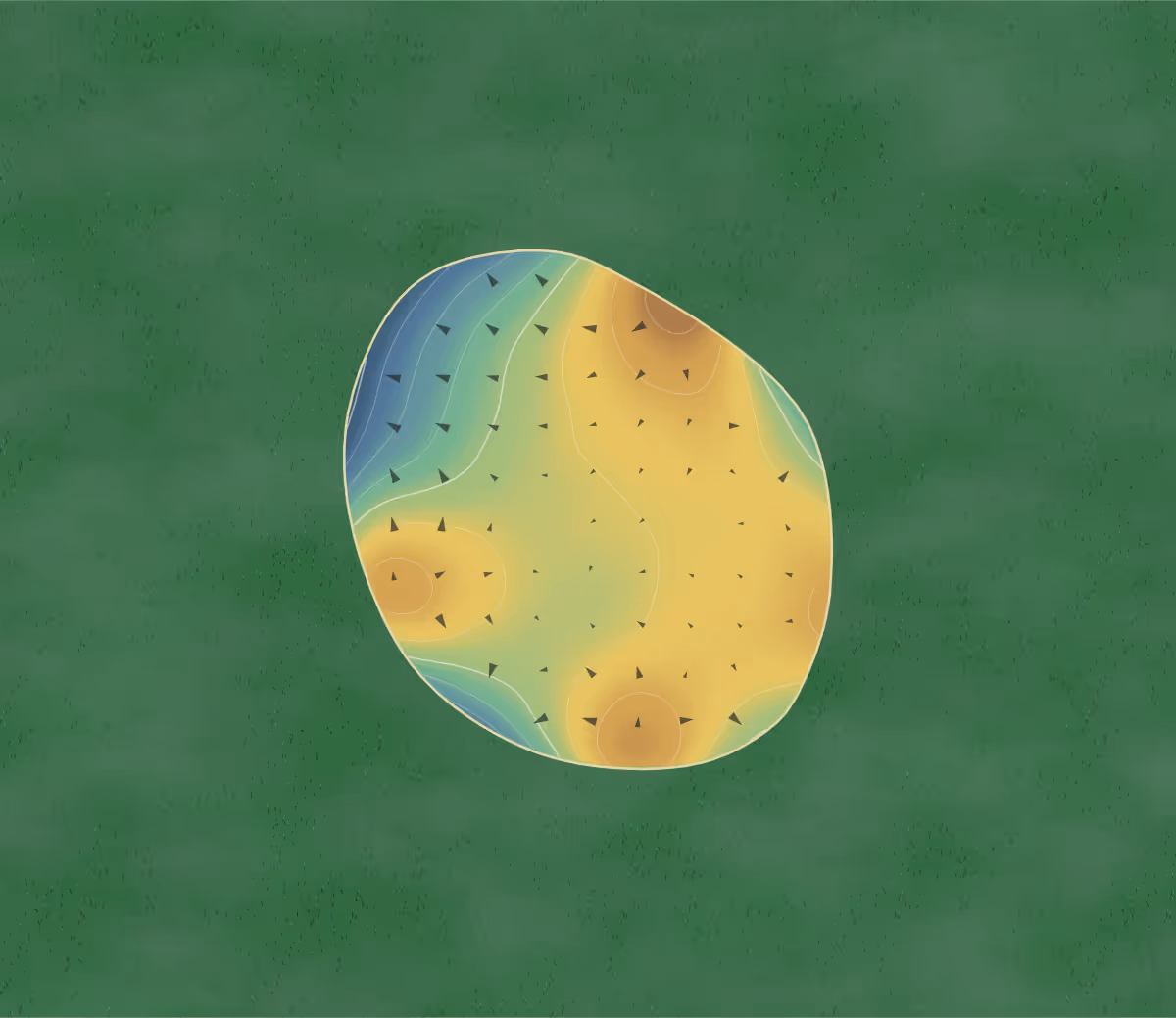 Green contour map of Highlands in Tacoma, Washington: 83 elevation contours at a 3-inch interval with fall-line arrows, traced from 1-meter lidar