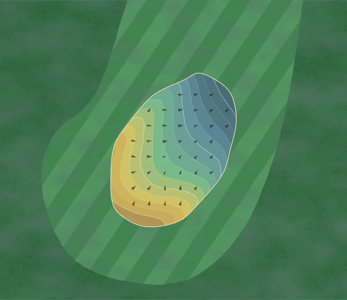 Green contour map of Hill 'N Dale in Tully, New York — 78 elevation contours at a 3-inch interval with fall-line arrows, traced from 1-meter lidar