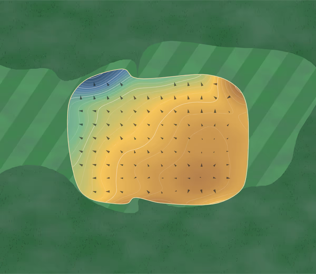 Green contour map of Hillsborough in Hillsborough, Canada: 247 elevation contours at a 8-centimeter interval with fall-line arrows, traced from 1-meter lidar