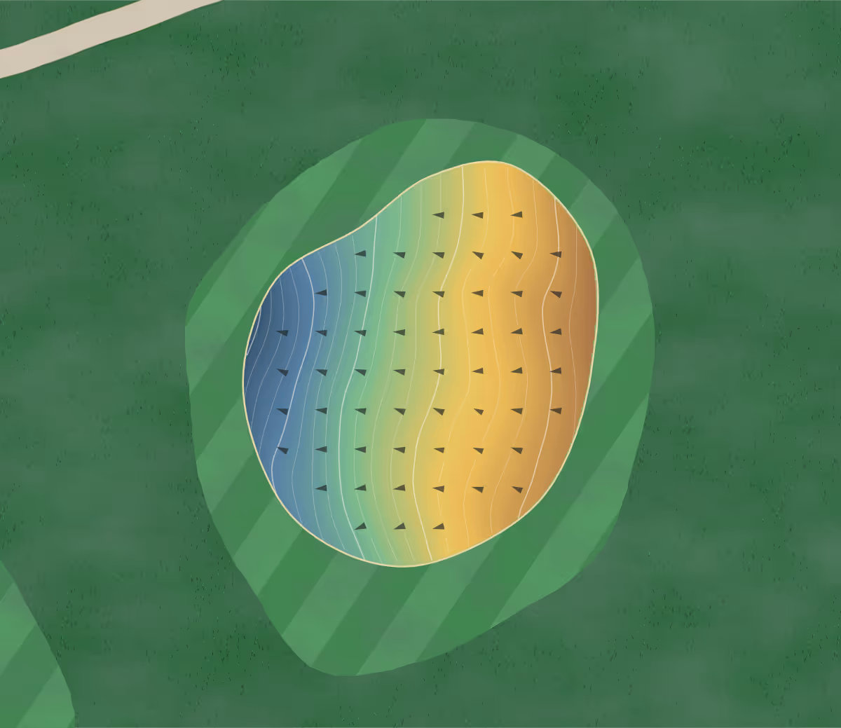 Green contour map of Hilltop Cc in Troup, Texas — 97 elevation contours at a 3-inch interval with fall-line arrows, traced from 1-meter lidar