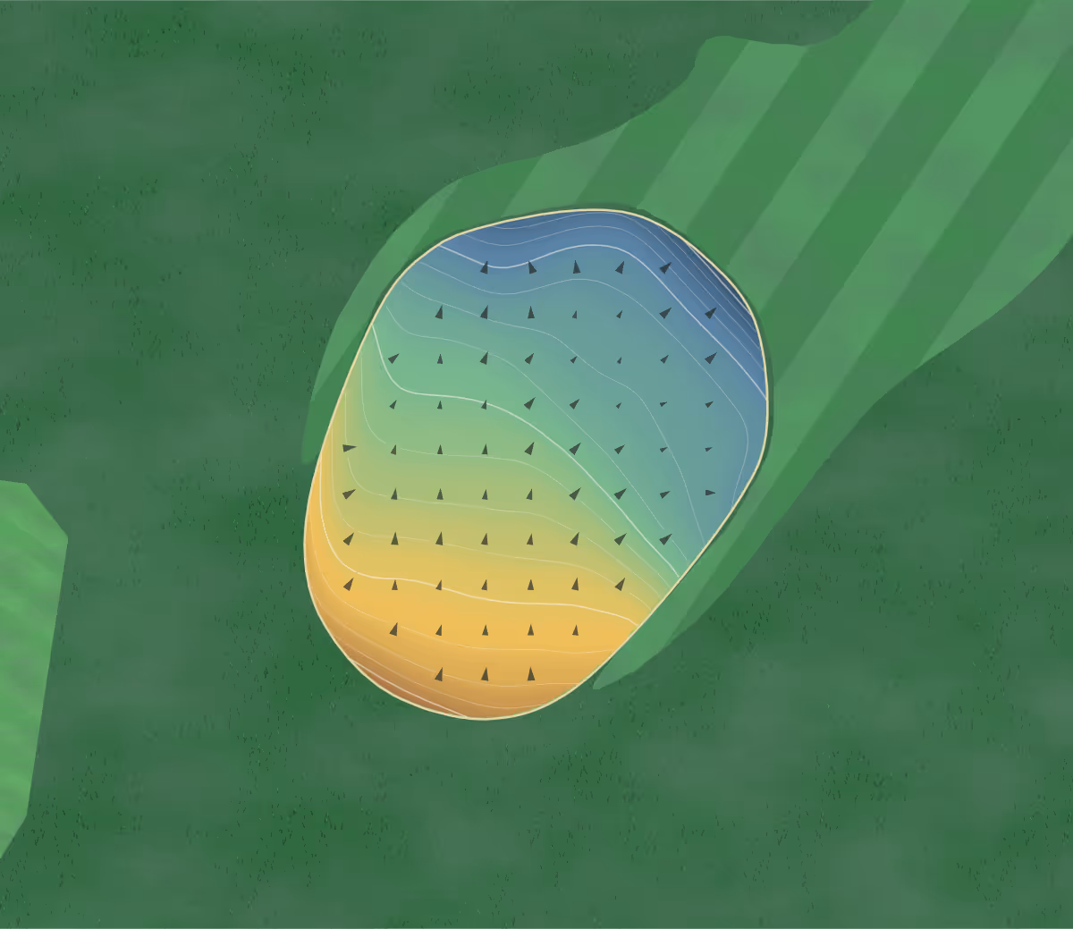 Green contour map of Hilltop in Meadow Creek, Nebraska: 82 elevation contours at a 3-inch interval with fall-line arrows, traced from 1-meter lidar