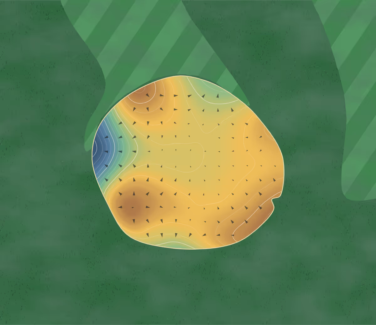 Green contour map of Hillview Golf in Vernon, Canada: 216 elevation contours at a 8-centimeter interval with fall-line arrows, traced from 1-meter lidar