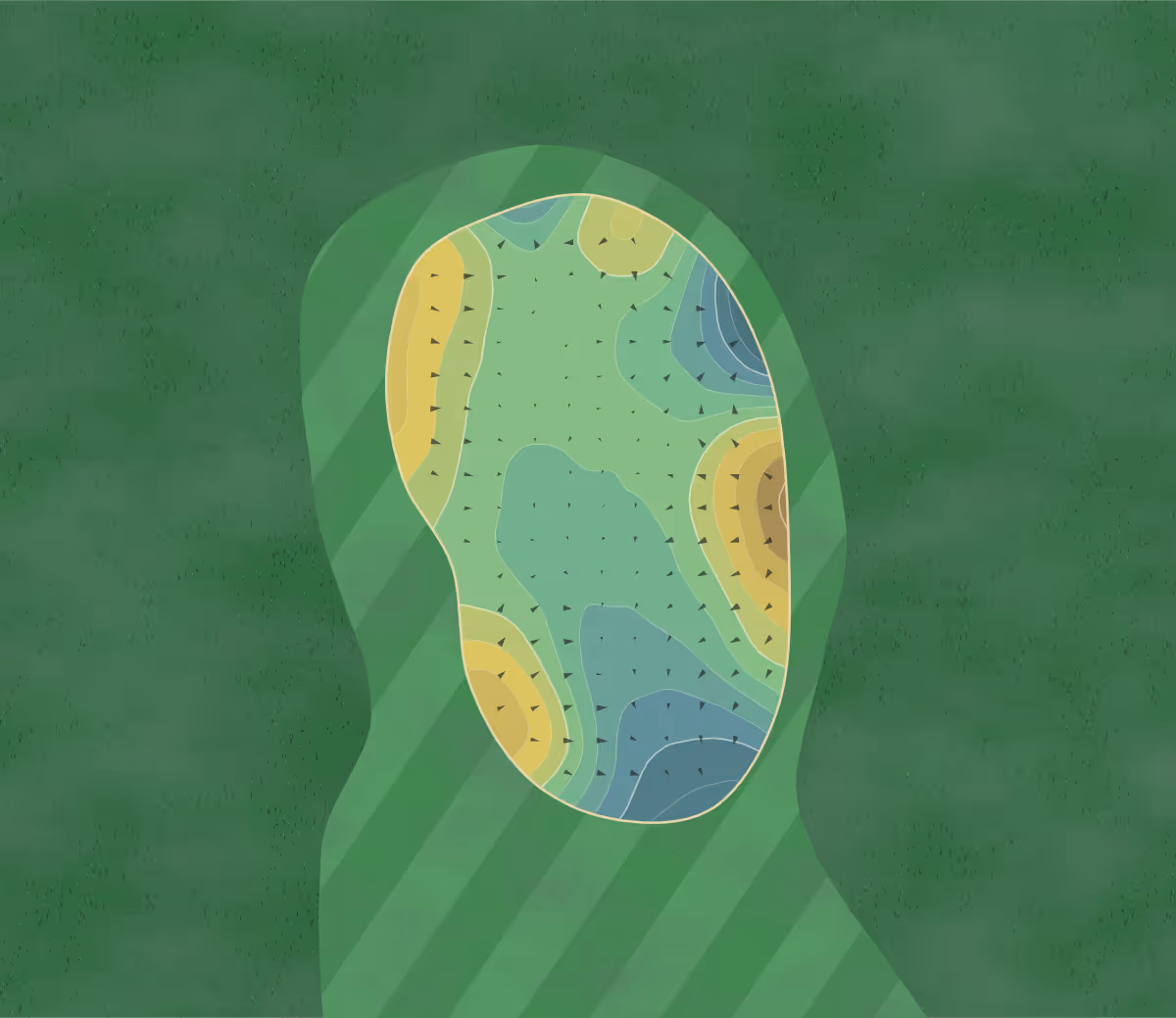 Green contour map of Hilversumsche in XJ Hilversum, Netherlands — 144 elevation contours at a 8-centimeter interval with fall-line arrows, traced from 1-meter lidar