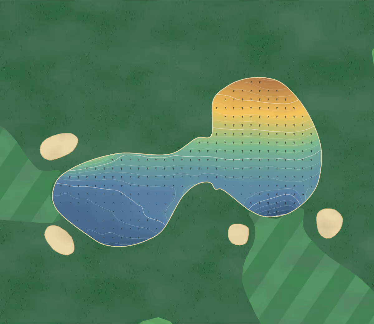 Green contour map of Hockley in Winchester, Hampshire, England — 230 elevation contours at a 8-centimeter interval with fall-line arrows, traced from 1-meter lidar