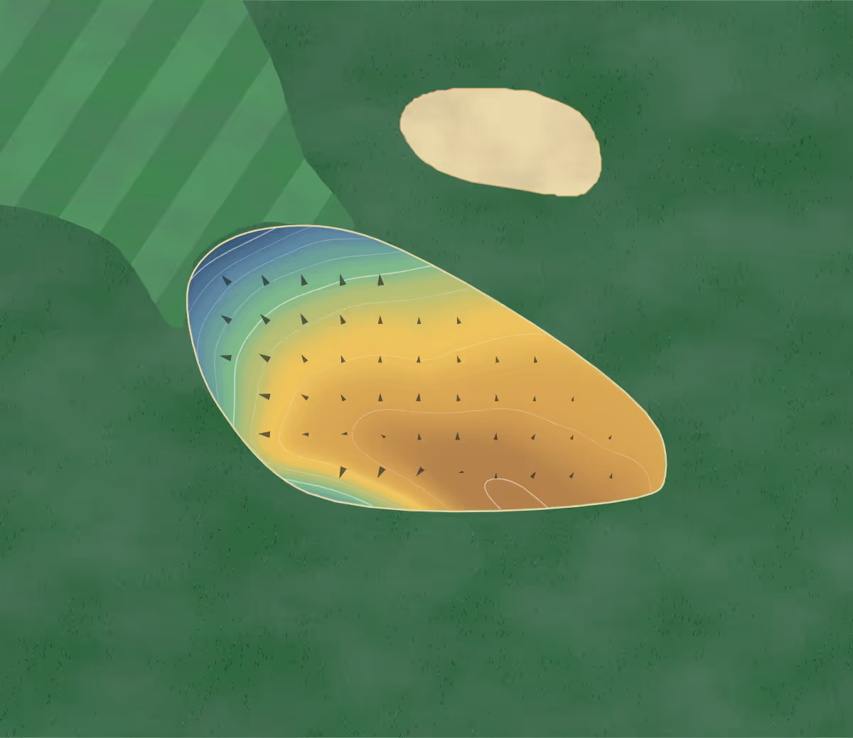 Green contour map of Holiday Lodge in Tomah, Wisconsin: 19 elevation contours at a 3-inch interval with fall-line arrows, traced from 1-meter lidar