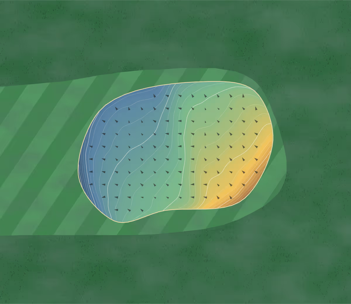 Green contour map of Hollandbush in Lanark, Scotland: 221 elevation contours at a 8-centimeter interval with fall-line arrows, traced from 1-meter lidar