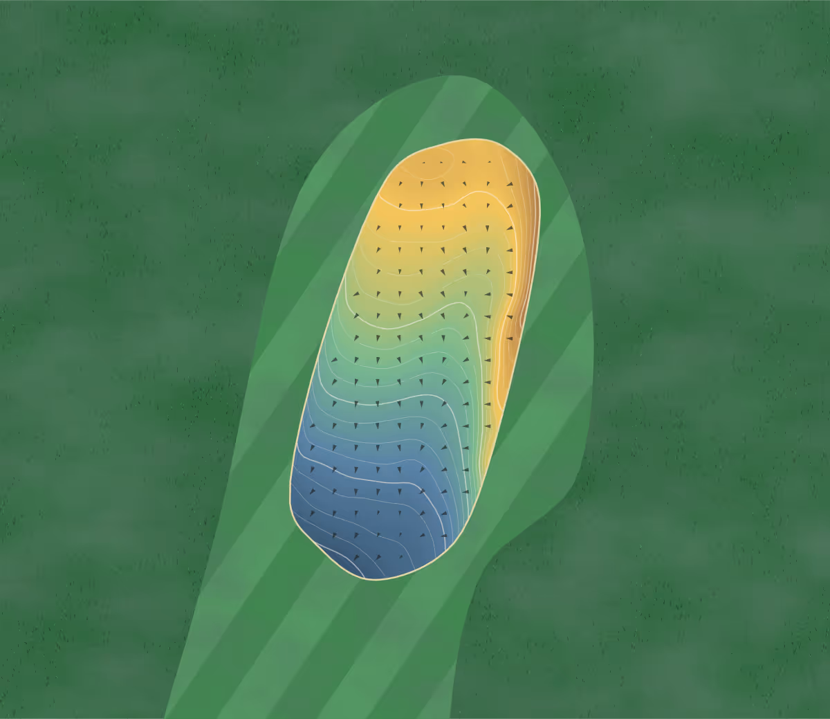 Green contour map of Hollandbush in Lanark, United Kingdom — 221 elevation contours at a 8-centimeter interval with fall-line arrows, traced from 1-meter lidar