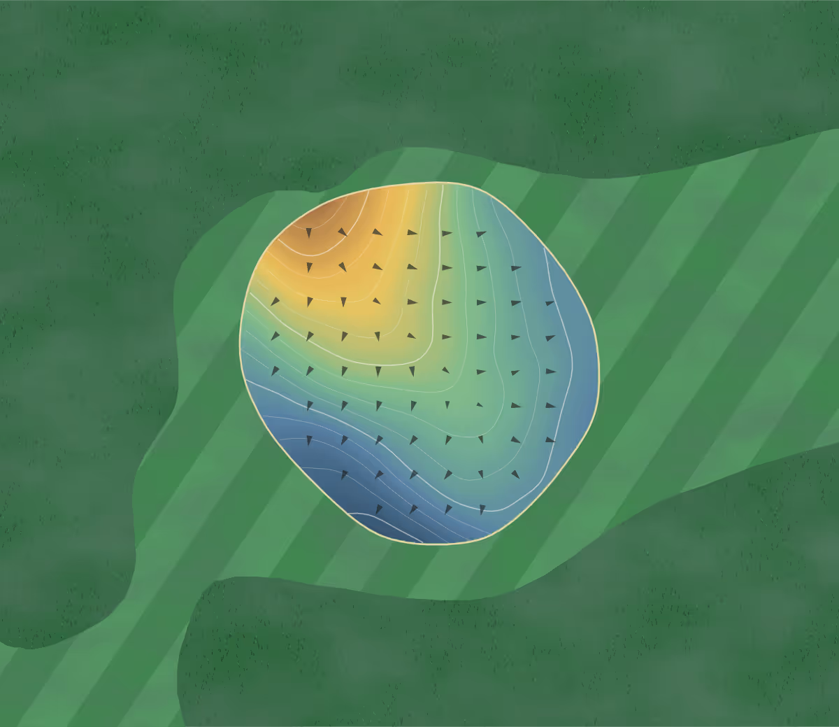 Green contour map of Hollies Executive in Langford, Canada: 14 elevation contours at a 8-centimeter interval with fall-line arrows, traced from 1-meter lidar