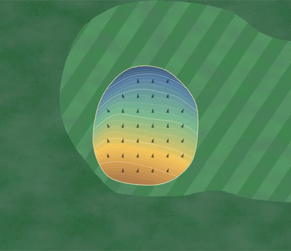 Green contour map of Holly Meadows in Parsons, West Virginia: 100 elevation contours at a 3-inch interval with fall-line arrows, traced from 1-meter lidar