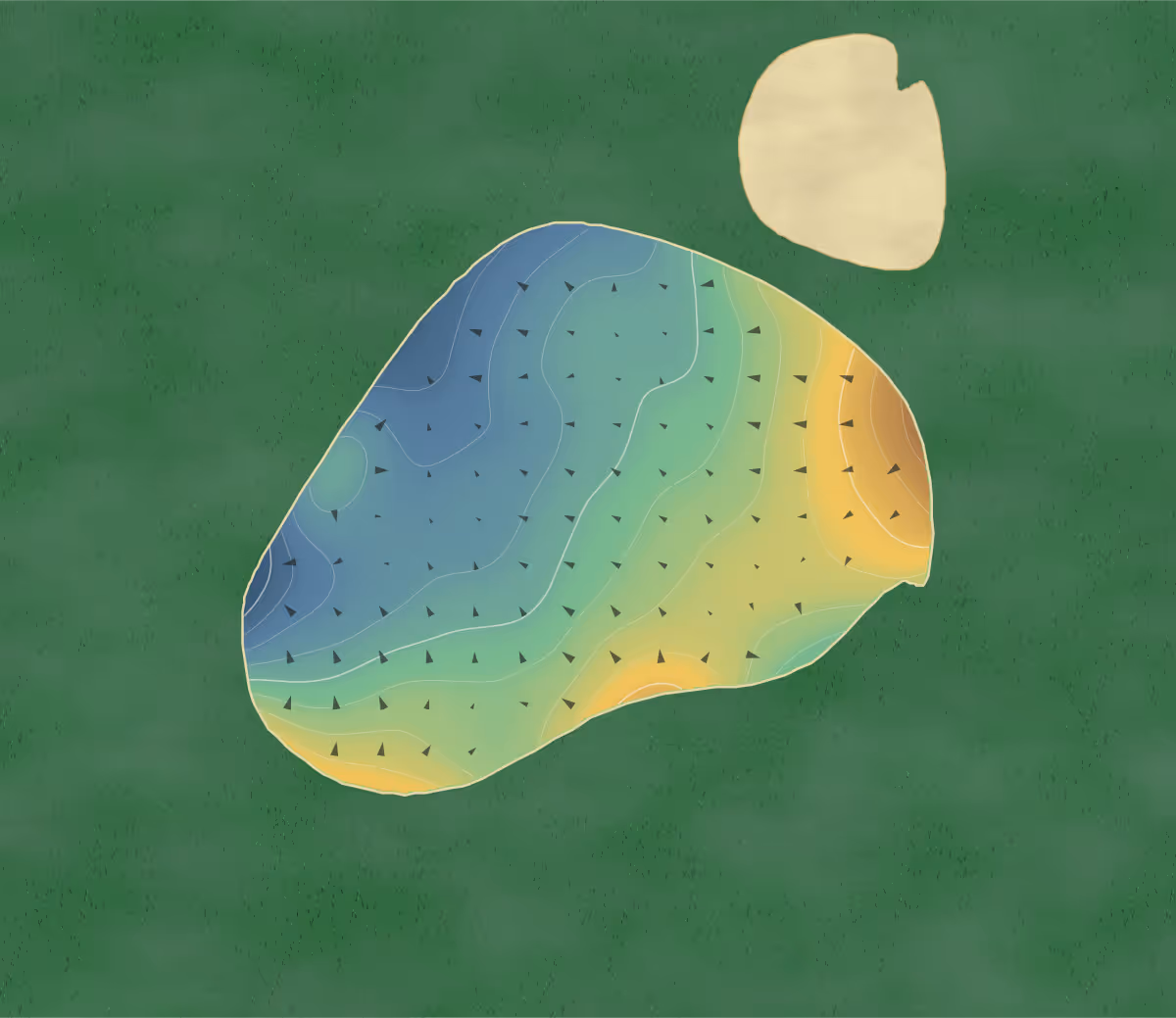 Green contour map of Holly Meadows in Capac, Michigan: 187 elevation contours at a 3-inch interval with fall-line arrows, traced from 1-meter lidar