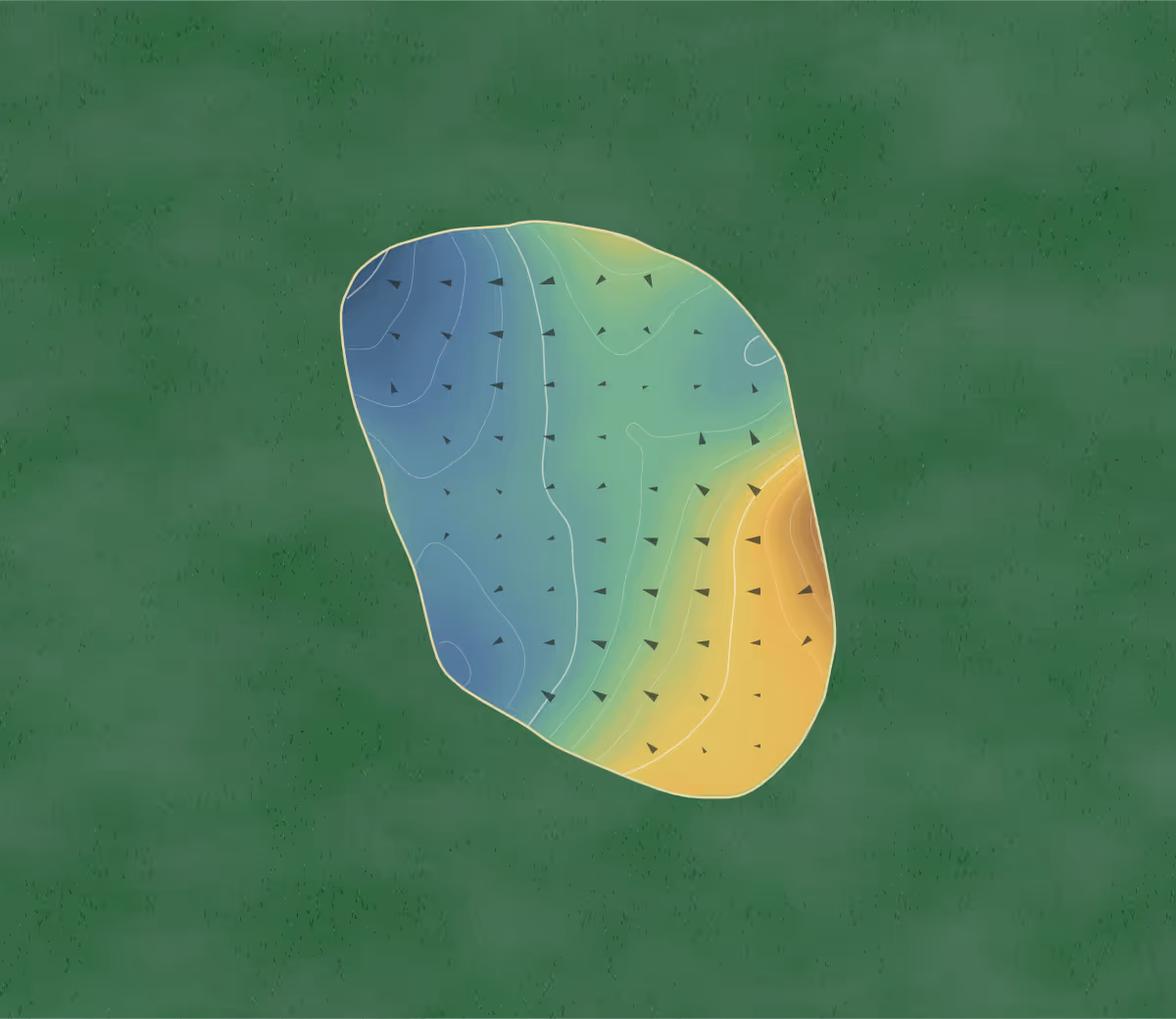 Green contour map of Holly in Pinehurst, North Carolina: 24 elevation contours at a 3-inch interval with fall-line arrows, traced from 1-meter lidar