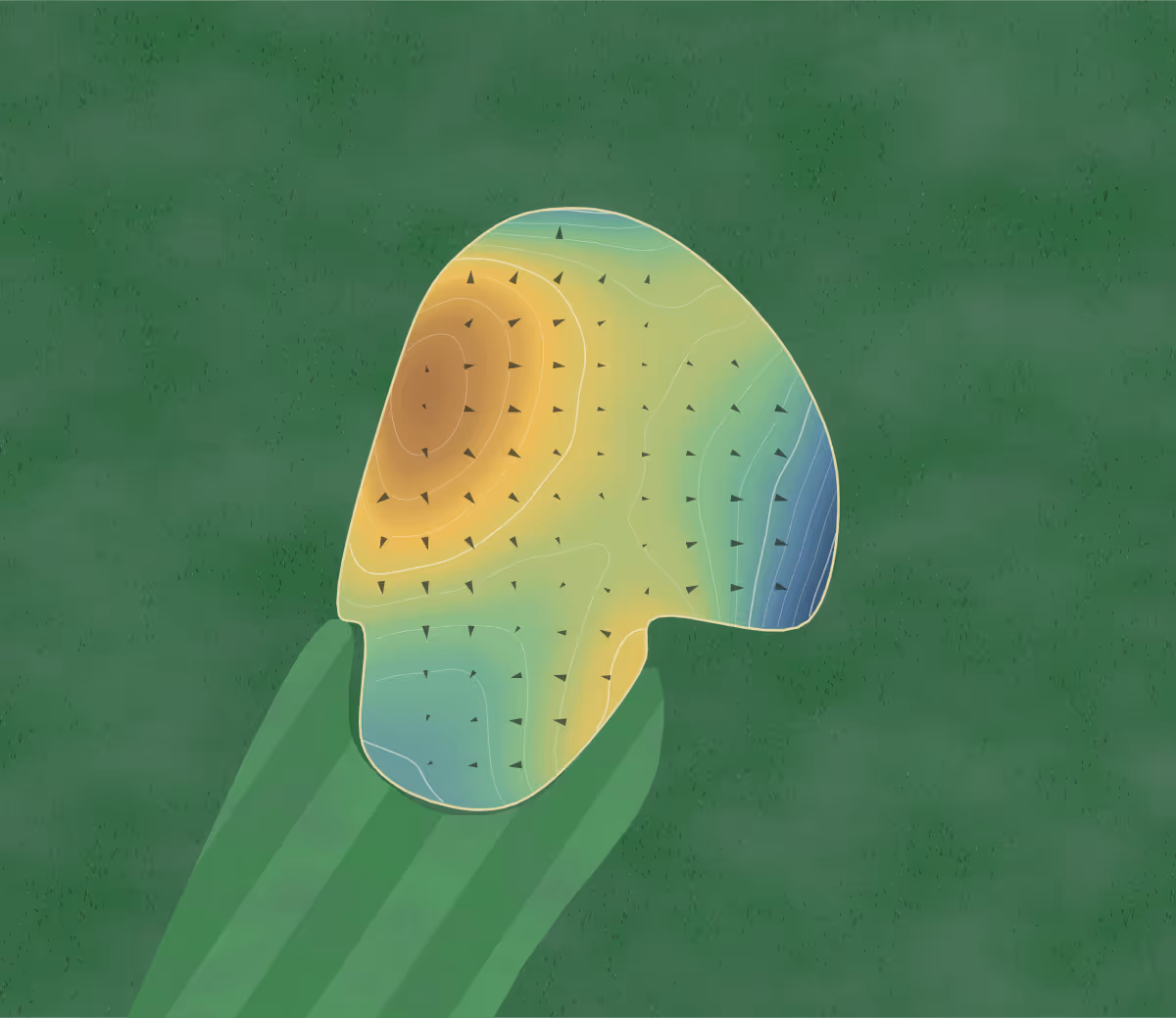 Green contour map of Holmes in Lincoln, Nebraska: 78 elevation contours at a 3-inch interval with fall-line arrows, traced from 1-meter lidar