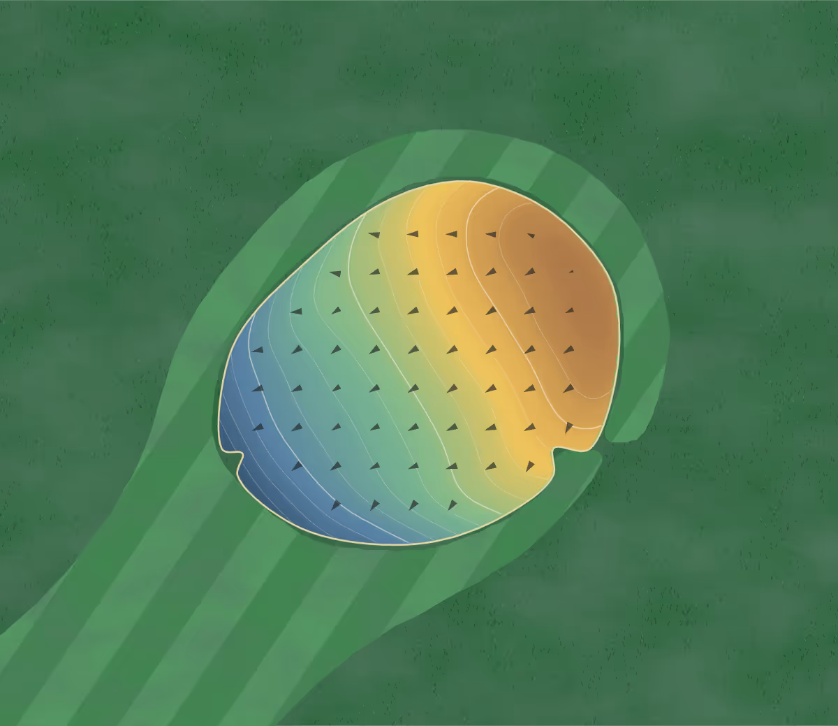 Green contour map of Holstein in Holstein, Iowa — 107 elevation contours at a 3-inch interval with fall-line arrows, traced from 1-meter lidar