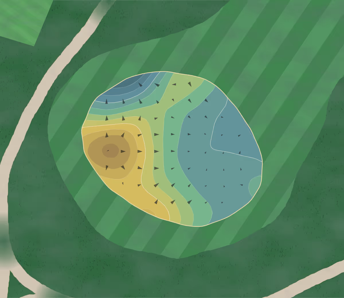 Green contour map of Holston Hills in Knoxville, Tennessee — 294 elevation contours at a 3-inch interval with fall-line arrows, traced from 1-meter lidar