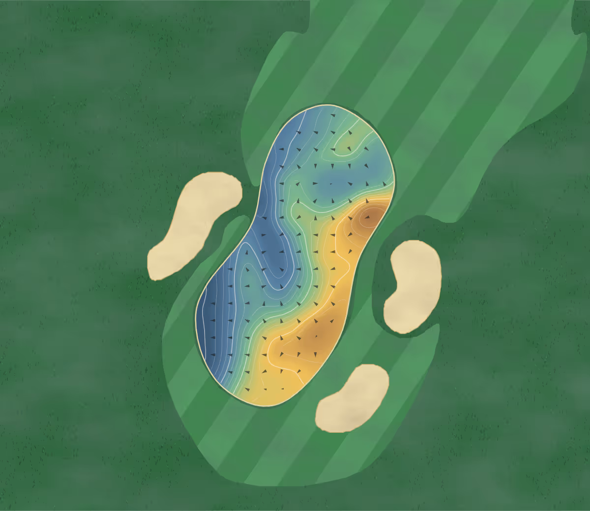 Green contour map of Holywood in Holywood, Northern Ireland — 178 elevation contours at a 8-centimeter interval with fall-line arrows, traced from 1-meter lidar