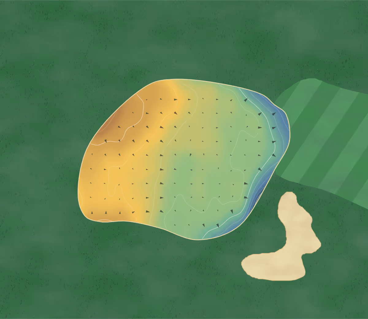 Green contour map of Homelands in Ashford, England: 61 elevation contours at a 8-centimeter interval with fall-line arrows, traced from 1-meter lidar