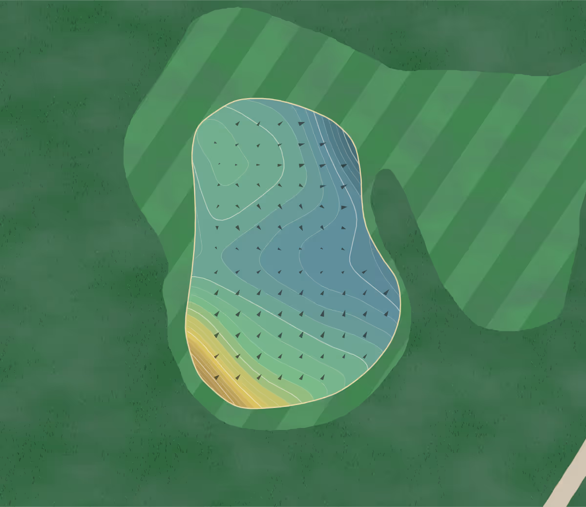 Green contour map of Homestead in Lakewood, Colorado — 196 elevation contours at a 3-inch interval with fall-line arrows, traced from 1-meter lidar