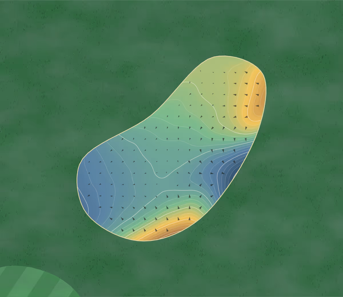 Green contour map of Hornby Glen in Hornby, Canada — 315 elevation contours at a 8-centimeter interval with fall-line arrows, traced from 1-meter lidar