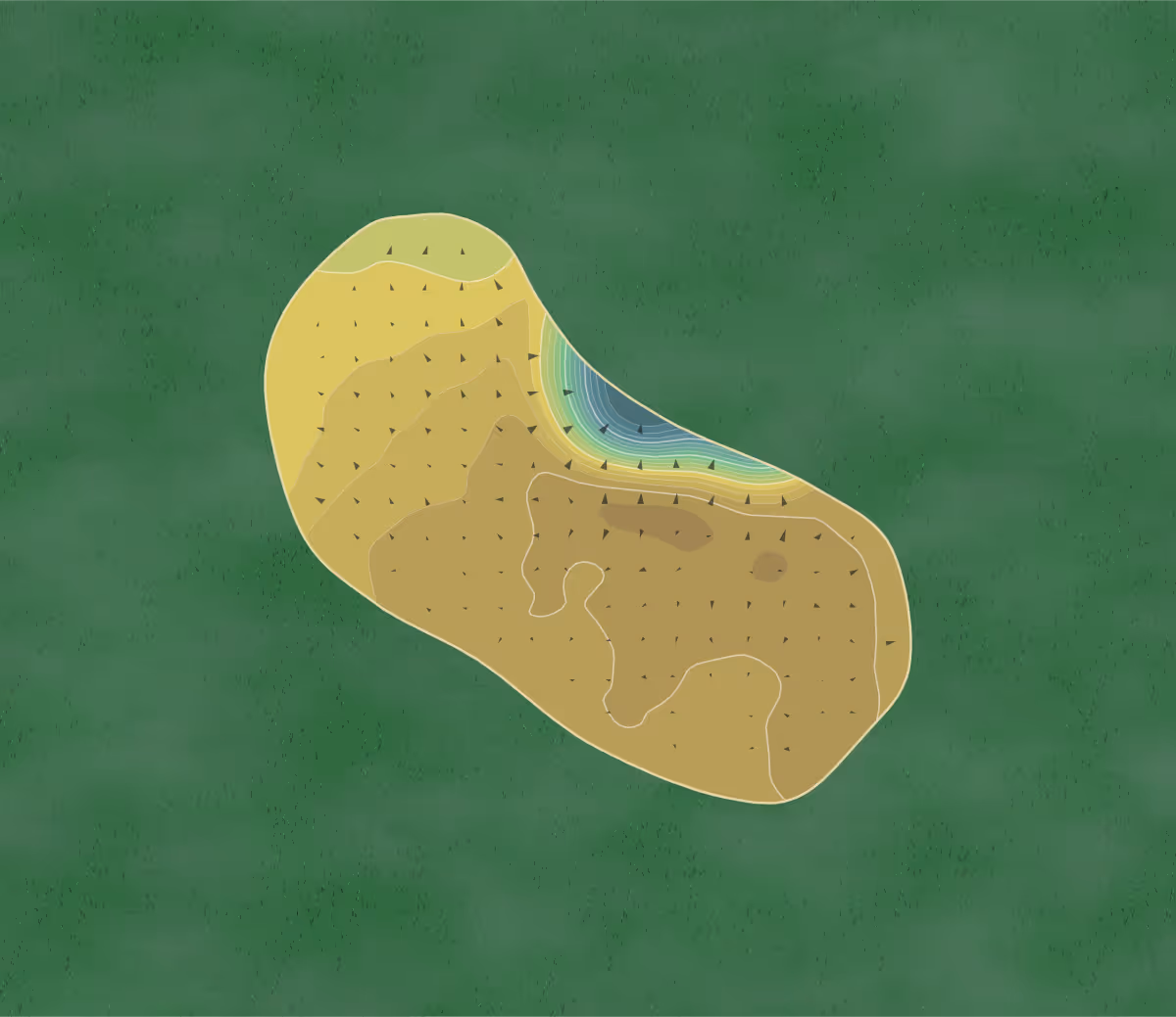 Green contour map of Hornsea GC in Hornsea, England — 135 elevation contours at a 8-centimeter interval with fall-line arrows, traced from 1-meter lidar