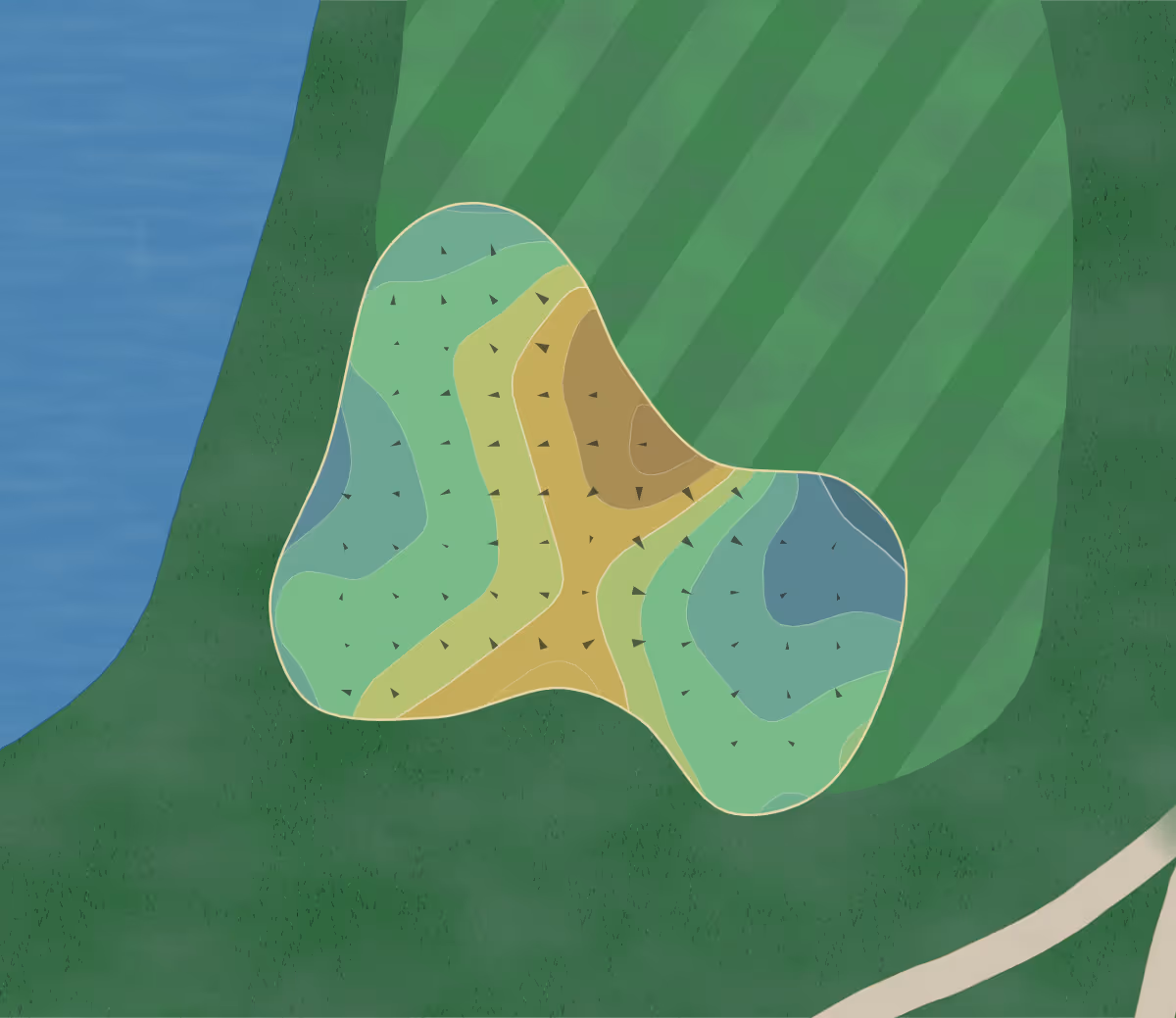 Green contour map of Family Nine in Hockley, Texas — 41 elevation contours at a 3-inch interval with fall-line arrows, traced from 1-meter lidar
