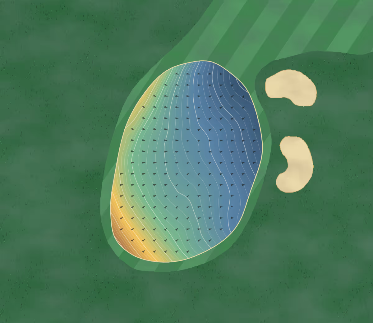 Green contour map of Humber Valley Resort in Humber Valley Resort, Canada — 308 elevation contours at a 8-centimeter interval with fall-line arrows, traced from 1-meter lidar