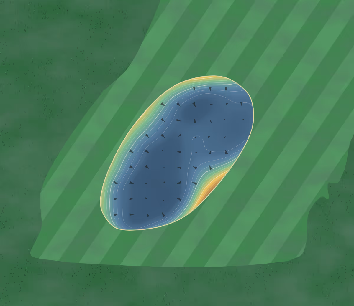 Green contour map of Indian Lake in Goodwood, Canada: 86 elevation contours at a 8-centimeter interval with fall-line arrows, traced from 1-meter lidar