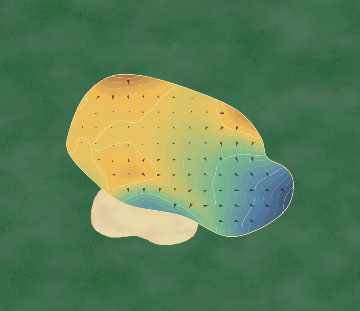 Green contour map of Indian Wells in Garden City, South Carolina: 165 elevation contours at a 3-inch interval with fall-line arrows, traced from 1-meter lidar